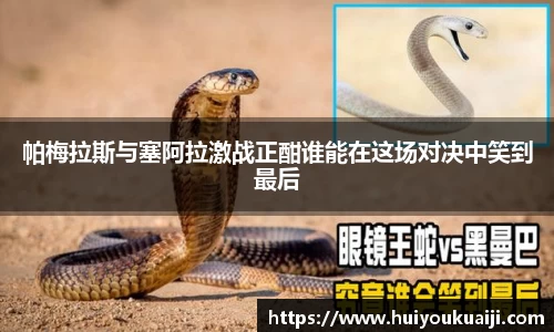 帕梅拉斯与塞阿拉激战正酣谁能在这场对决中笑到最后